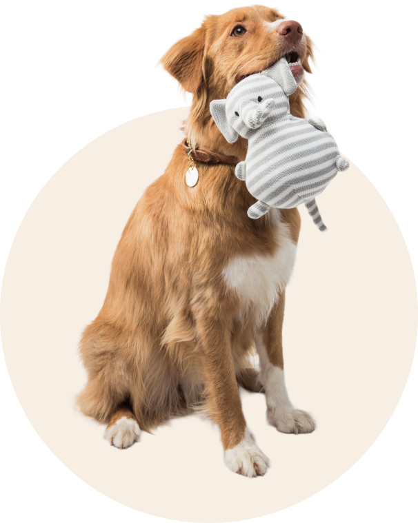 изображение баннера